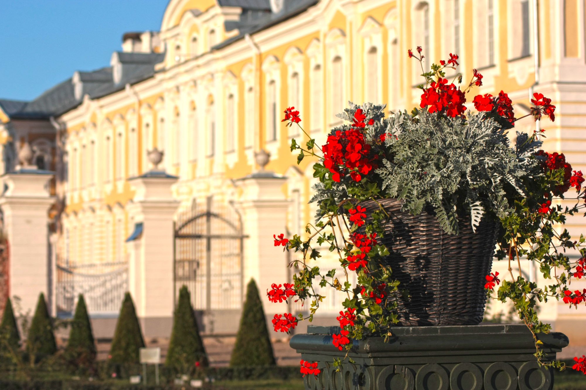 Palace Garden Detail.